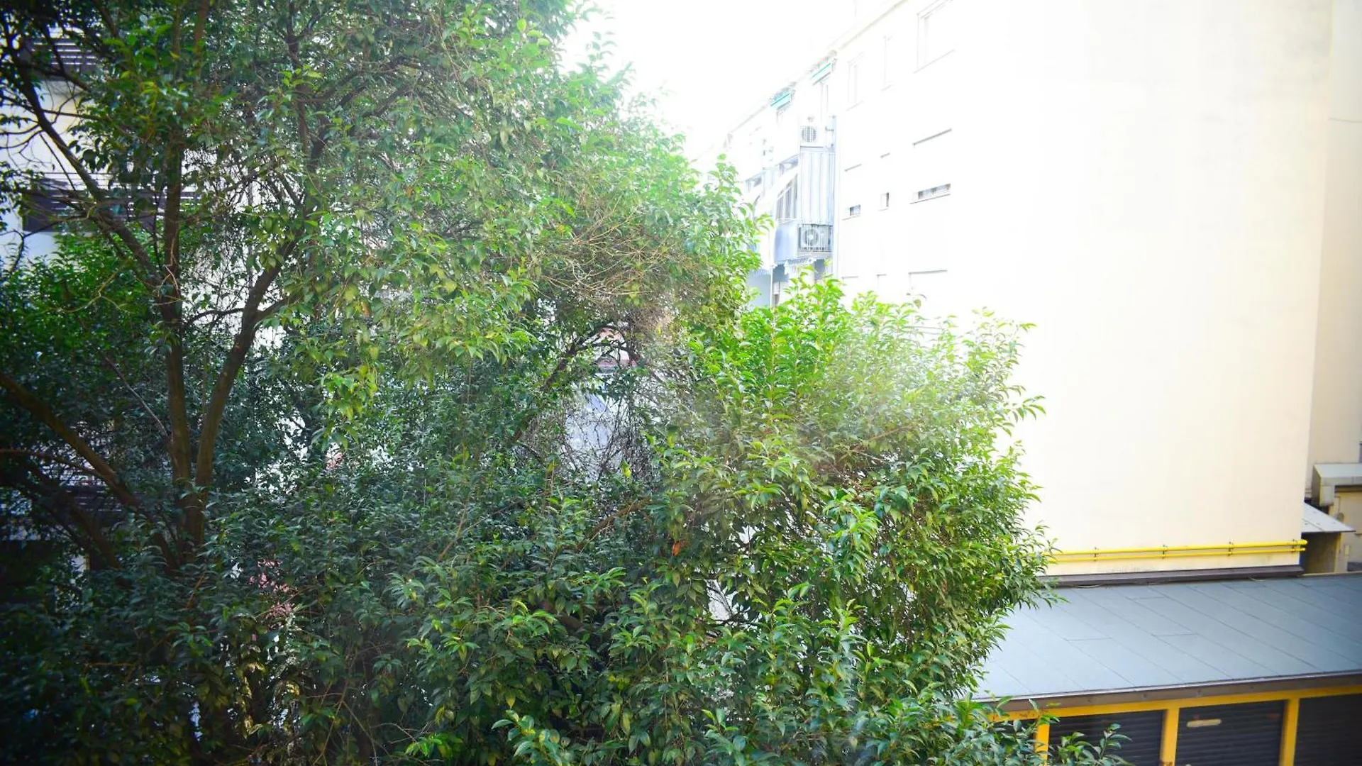Homestay Luxhaven Venice Mestre