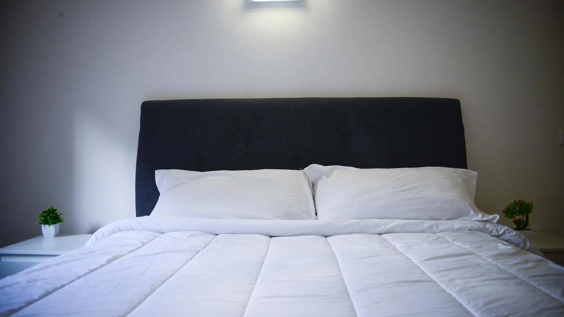 Luxhaven Venice Mestre Homestay